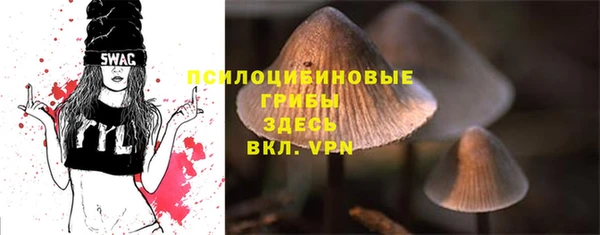 дживик Верхний Тагил