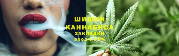 дживик Верхний Тагил