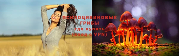 дживик Верхний Тагил