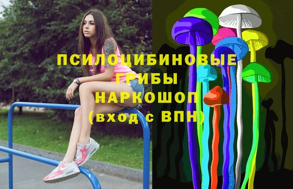дживик Верхний Тагил
