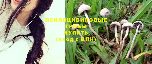 СК Верея