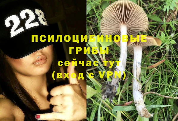 СК Верея