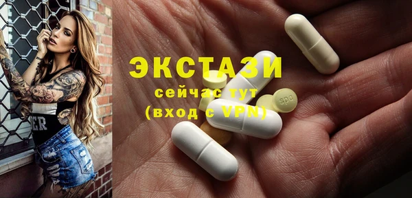 дживик Верхний Тагил