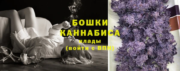 СК Верея
