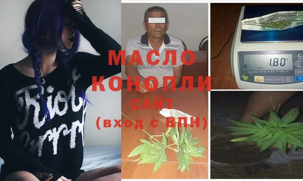 дживик Верхний Тагил