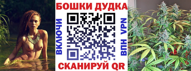 Каннабис SATIVA & INDICA Динская